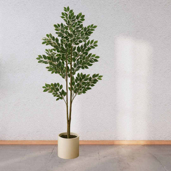 Potted plant against a light gray wall