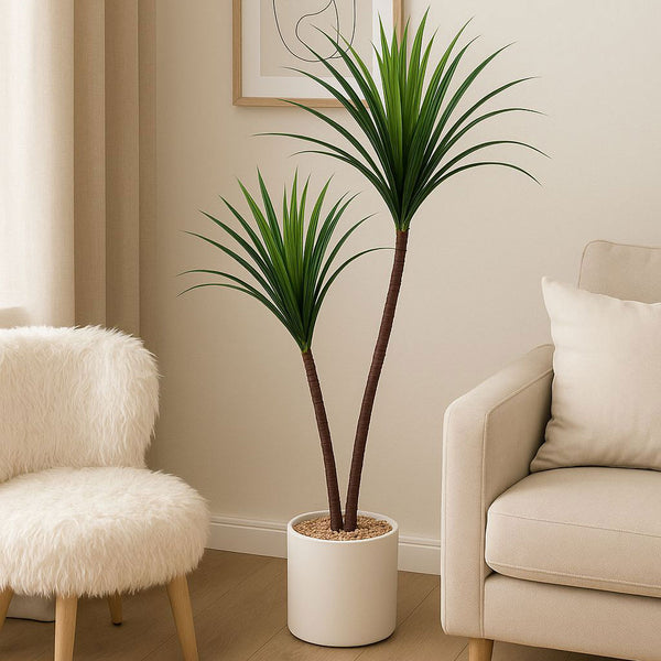 Potted plant in a living room with a beige sofa and white chair.