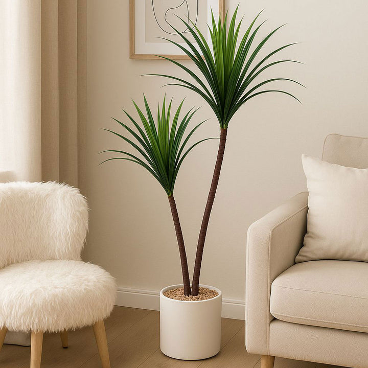 Potted plant in a living room with a beige sofa and white chair.
