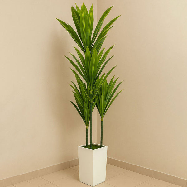 Tall green potted plant in a white pot against a beige wall.