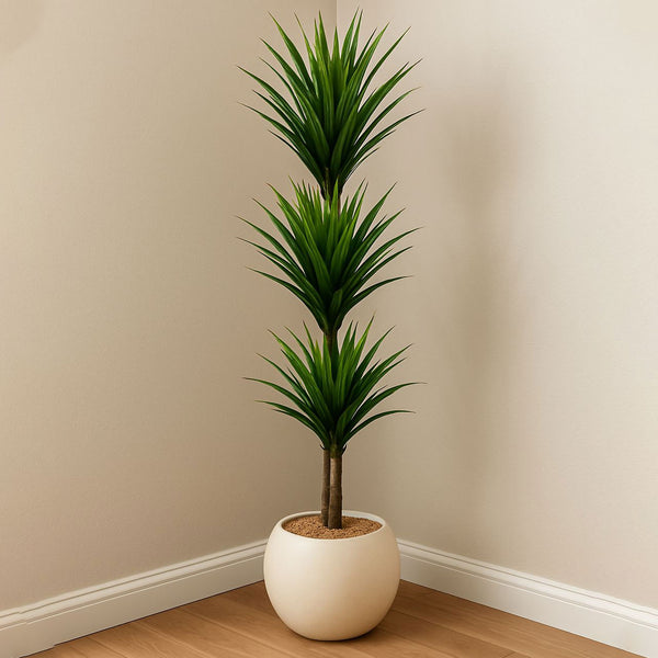 Potted plant in a white pot against a beige wall