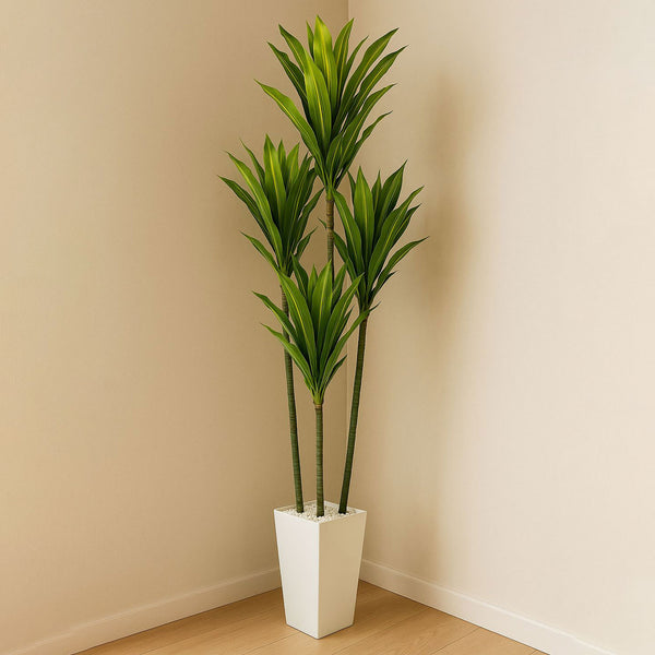 Potted plant in a white pot against a beige wall