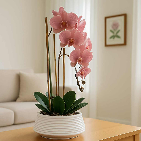 Faux Orchid Arrangement - Fiorala